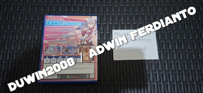 PS4 Playstation 4 - Gal Gun 2