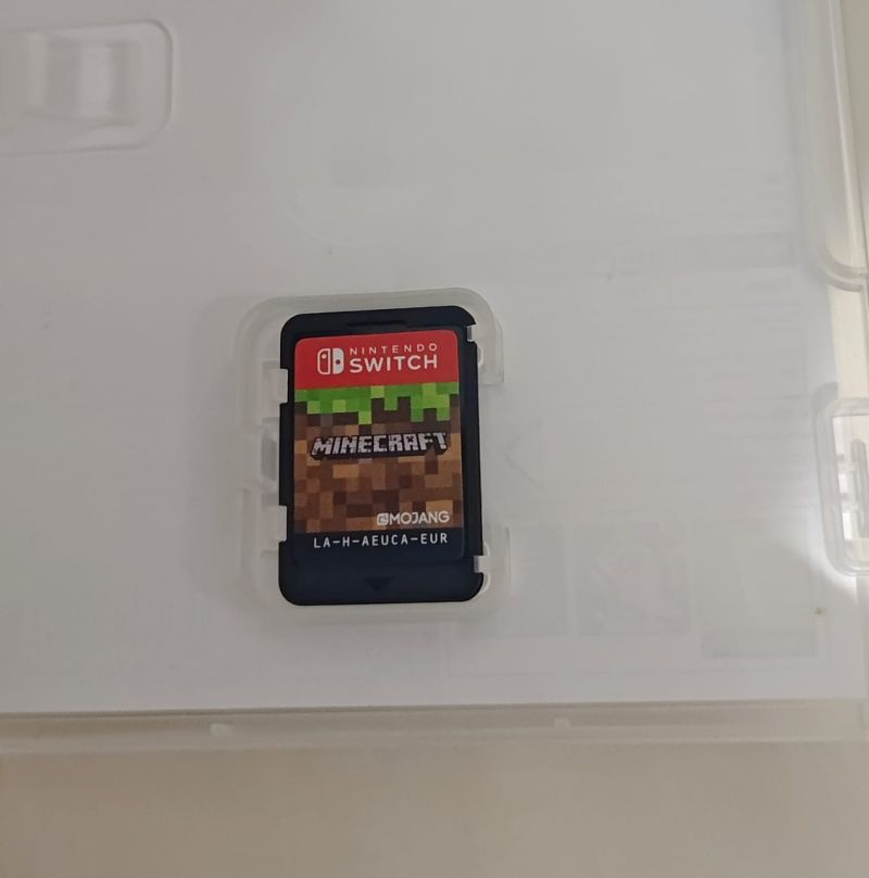 Minecraft NS1