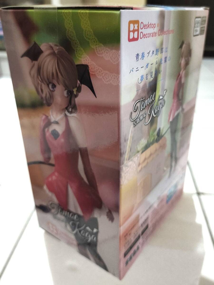 Premium Desktop x Decorate Figure Koga Tomoe - Seishun Buta Yarou...!