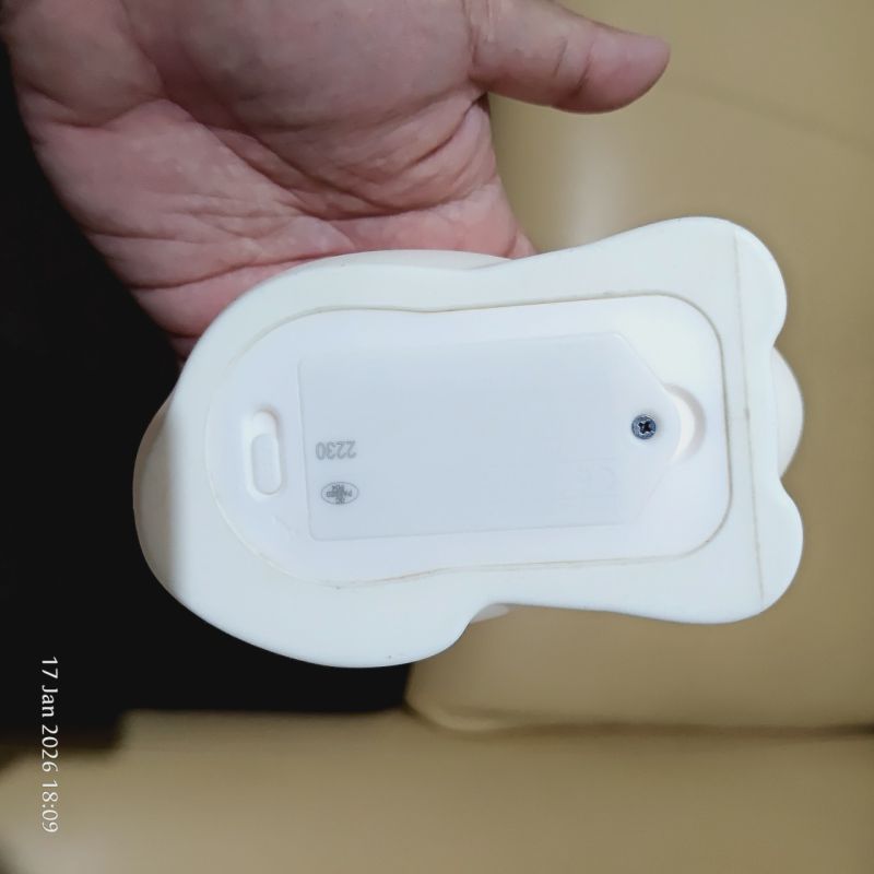 Lampu Tidur Kucing