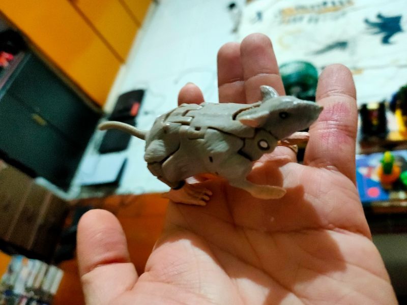 Transformers rat trap