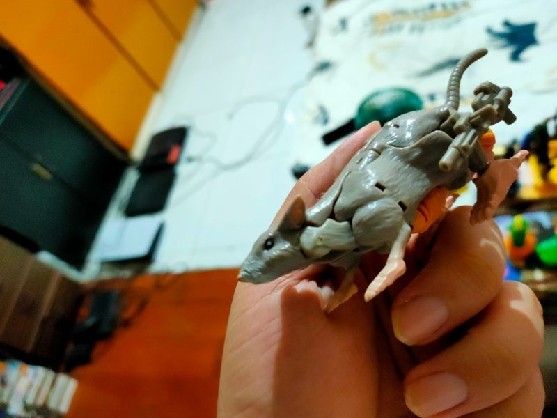 Transformers rat trap
