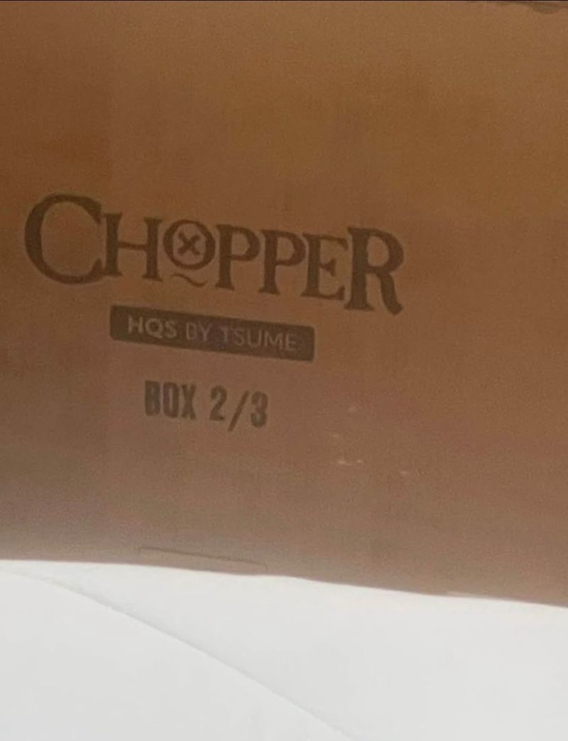 Tony Tony Choper One Piece Tsume Art