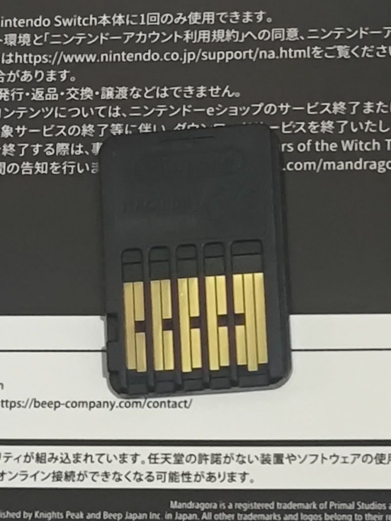 Mandragora: Whispers of the Witch Tree - Nintendo Switch