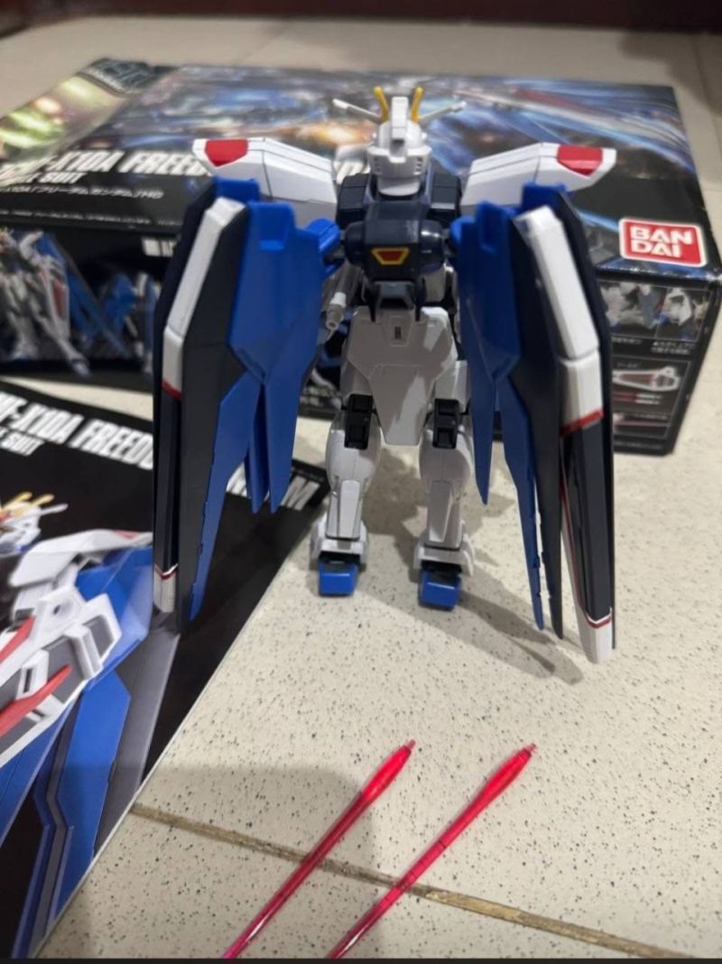 HG 144 Freedom